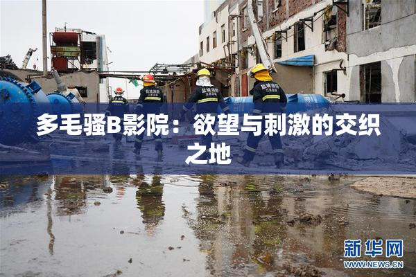 多毛骚B影院：欲望与刺激的交织之地