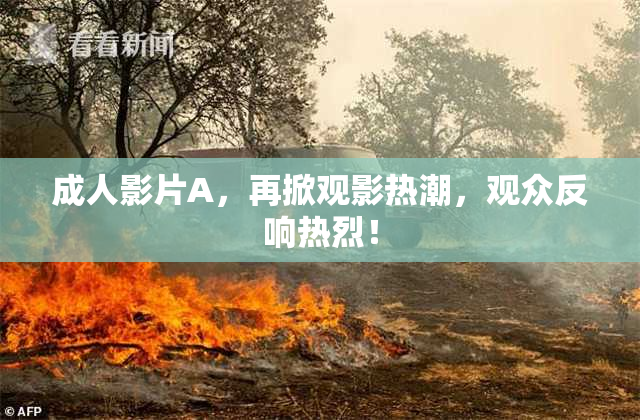 成人影片A，再掀观影热潮，观众反响热烈！