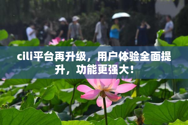 cili平台再升级，用户体验全面提升，功能更强大！
