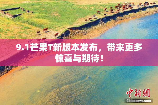 9.1芒果T新版本发布，带来更多惊喜与期待！