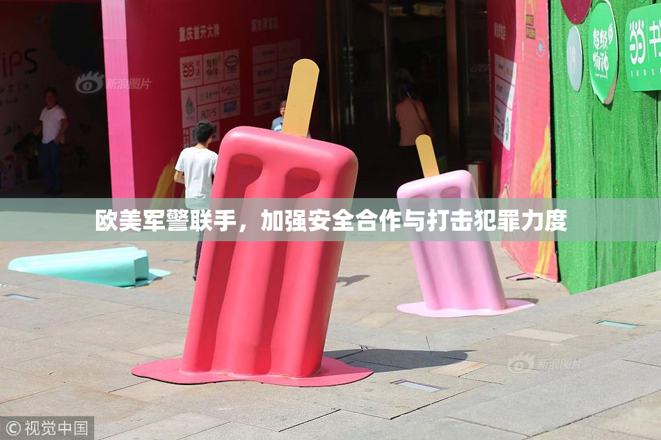 欧美军警联手，加强安全合作与打击犯罪力度