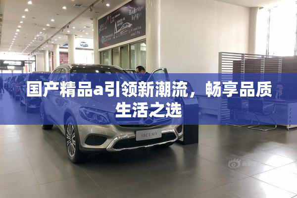 国产精品a引领新潮流，畅享品质生活之选