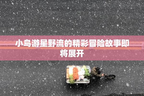 小鸟游星野流的精彩冒险故事即将展开