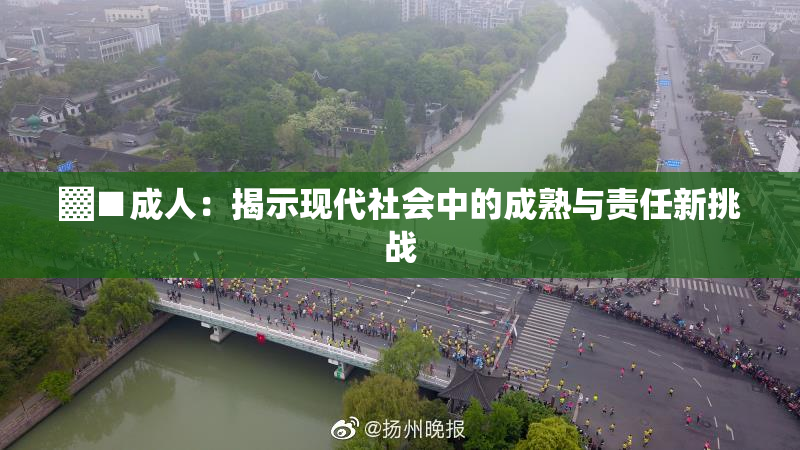 ▓■成人：揭示现代社会中的成熟与责任新挑战