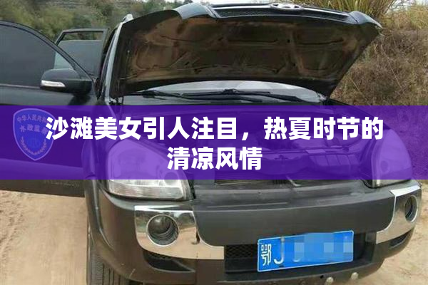 沙滩美女引人注目，热夏时节的清凉风情