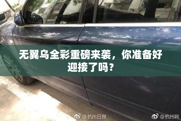 无翼乌全彩重磅来袭，你准备好迎接了吗？