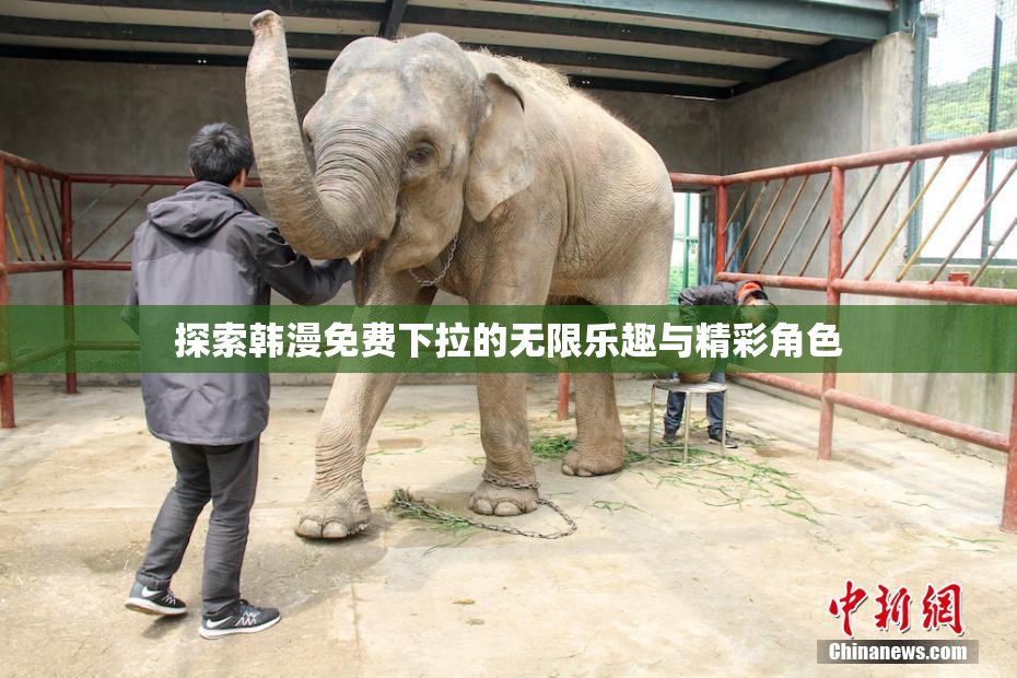 探索韩漫免费下拉的无限乐趣与精彩角色