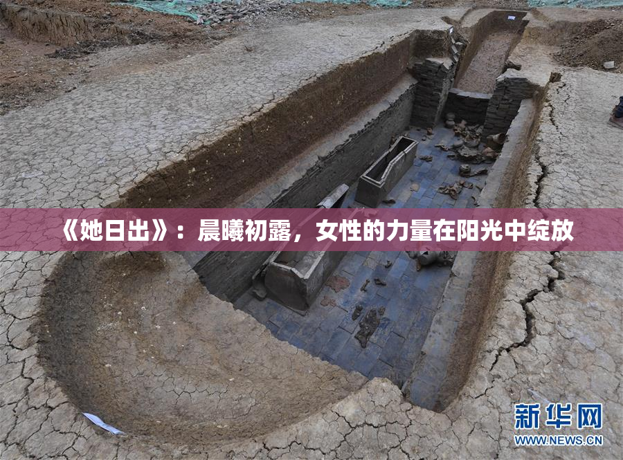《她日出》：晨曦初露，女性的力量在阳光中绽放
