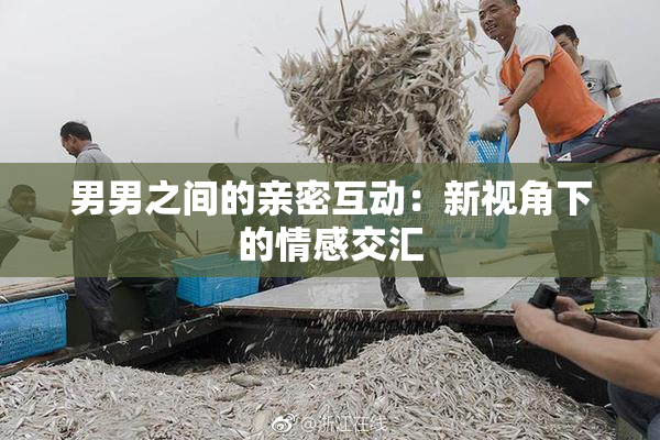 男男之间的亲密互动：新视角下的情感交汇