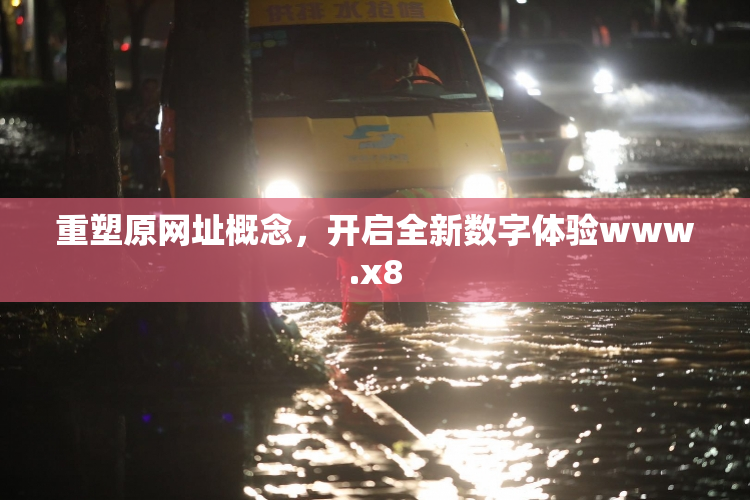 重塑原网址概念，开启全新数字体验www.x8