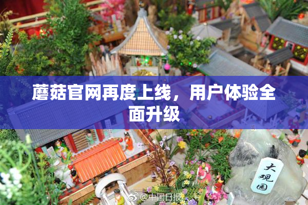 蘑菇官网再度上线，用户体验全面升级