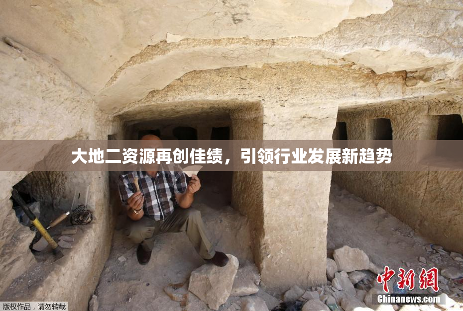 大地二资源再创佳绩，引领行业发展新趋势