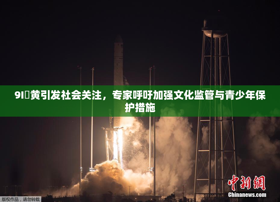9I婬黄引发社会关注，专家呼吁加强文化监管与青少年保护措施