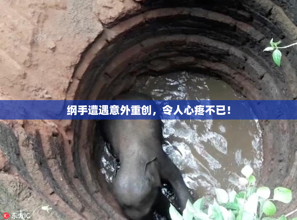 纲手遭遇意外重创，令人心疼不已！