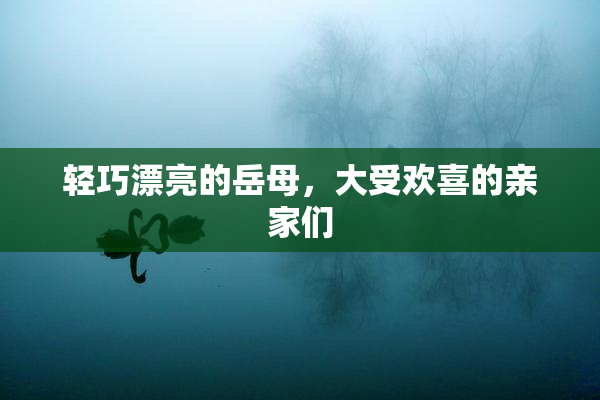轻巧漂亮的岳母，大受欢喜的亲家们
