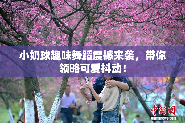 小奶球趣味舞蹈震撼来袭，带你领略可爱抖动！