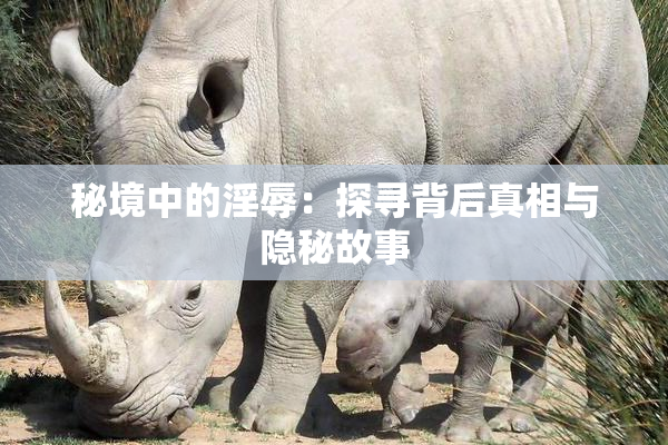 秘境中的淫辱：探寻背后真相与隐秘故事