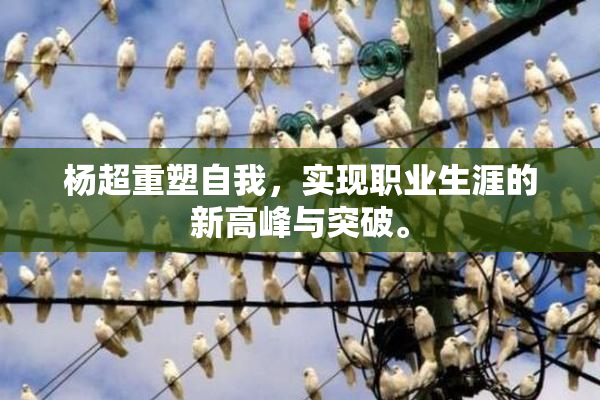 杨超重塑自我，实现职业生涯的新高峰与突破。