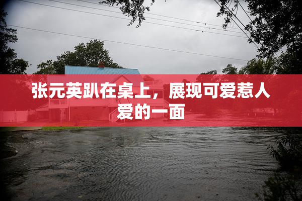 张元英趴在桌上，展现可爱惹人爱的一面