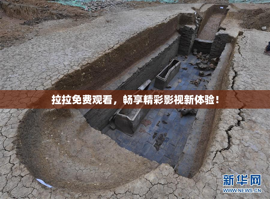 拉拉免费观看，畅享精彩影视新体验！