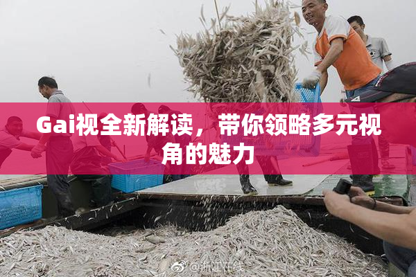 Gai视全新解读，带你领略多元视角的魅力