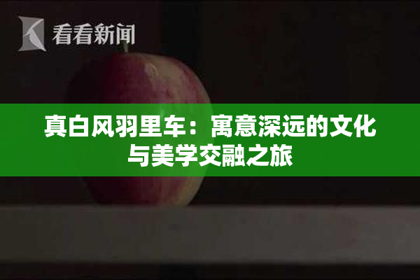 真白风羽里车：寓意深远的文化与美学交融之旅