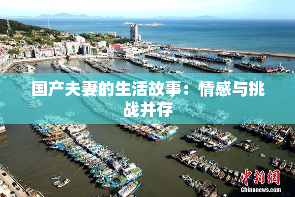 国产夫妻的生活故事：情感与挑战并存