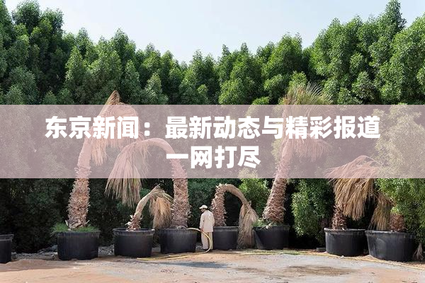 东京新闻：最新动态与精彩报道一网打尽