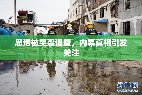 思诺被突袭调查，内幕真相引发关注
