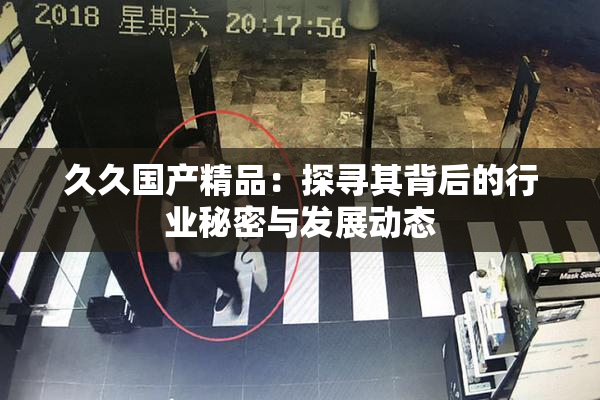 久久国产精品：探寻其背后的行业秘密与发展动态