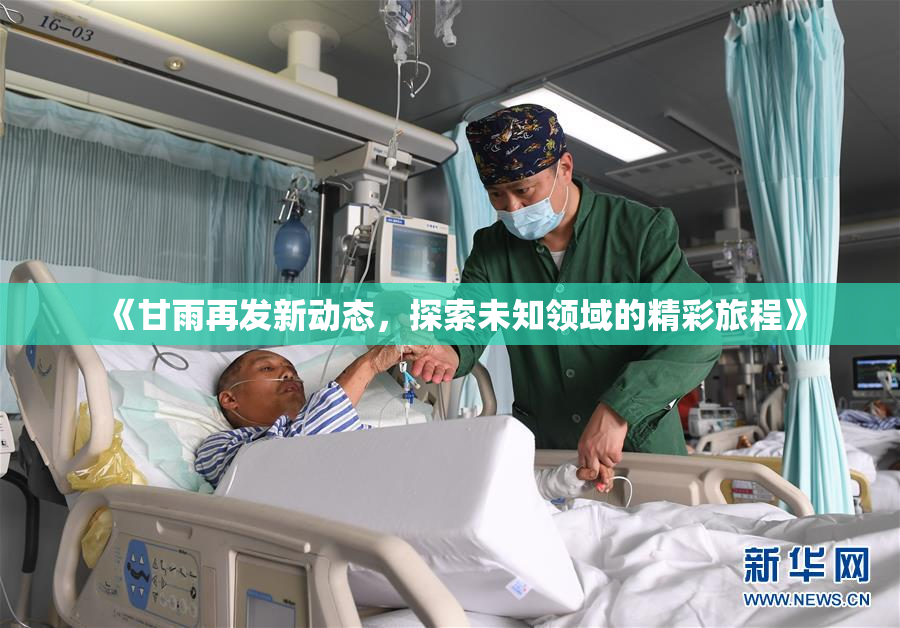《甘雨再发新动态，探索未知领域的精彩旅程》