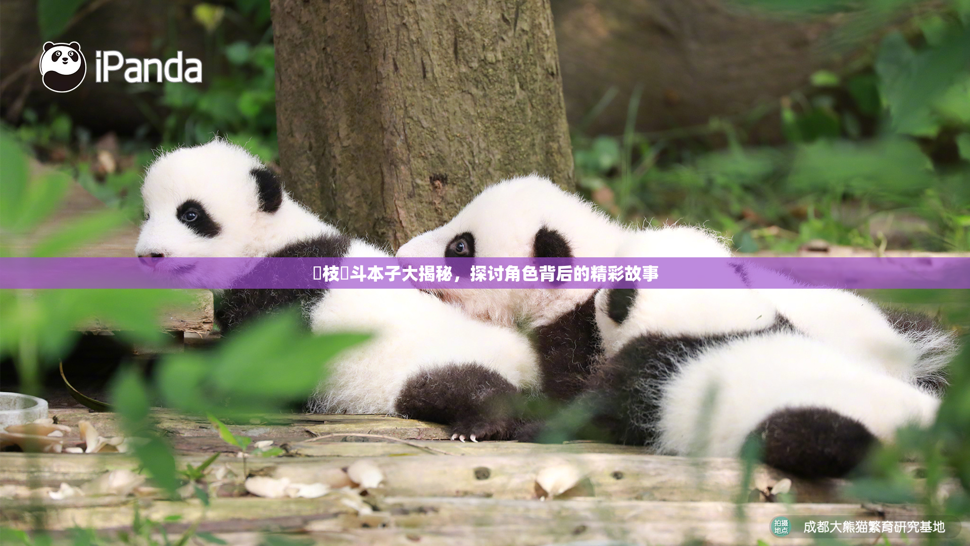 狛枝凪斗本子大揭秘，探讨角色背后的精彩故事