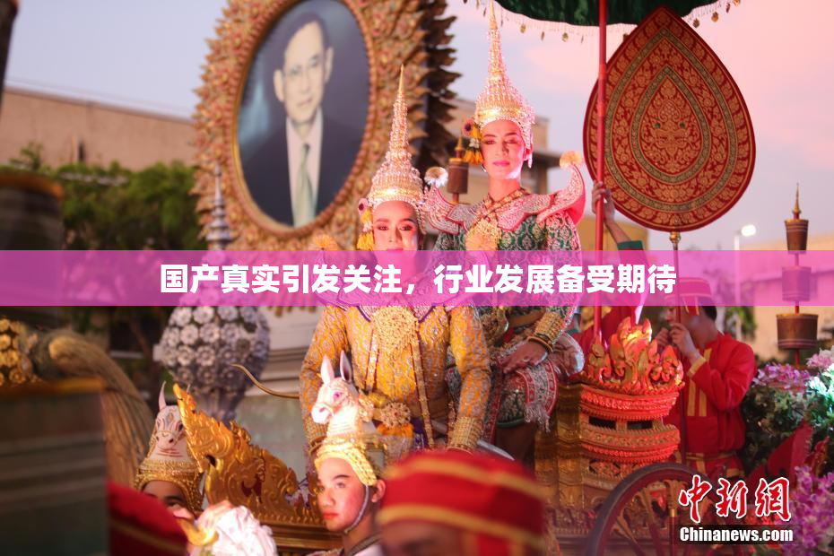 国产真实引发关注，行业发展备受期待