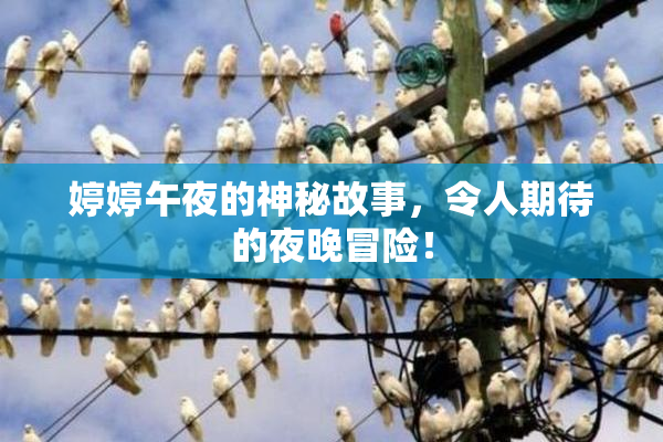 婷婷午夜的神秘故事，令人期待的夜晚冒险！