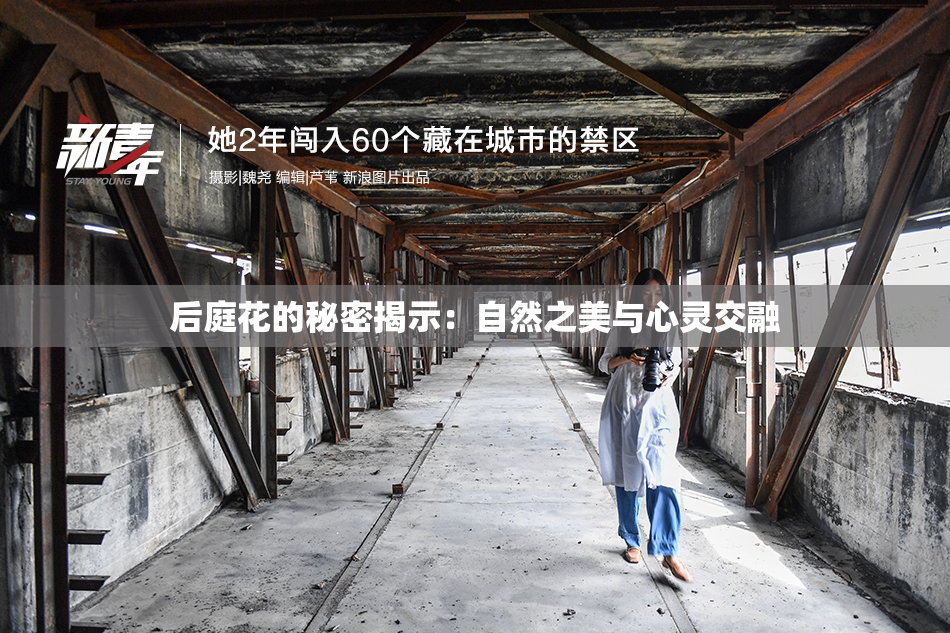 后庭花的秘密揭示：自然之美与心灵交融
