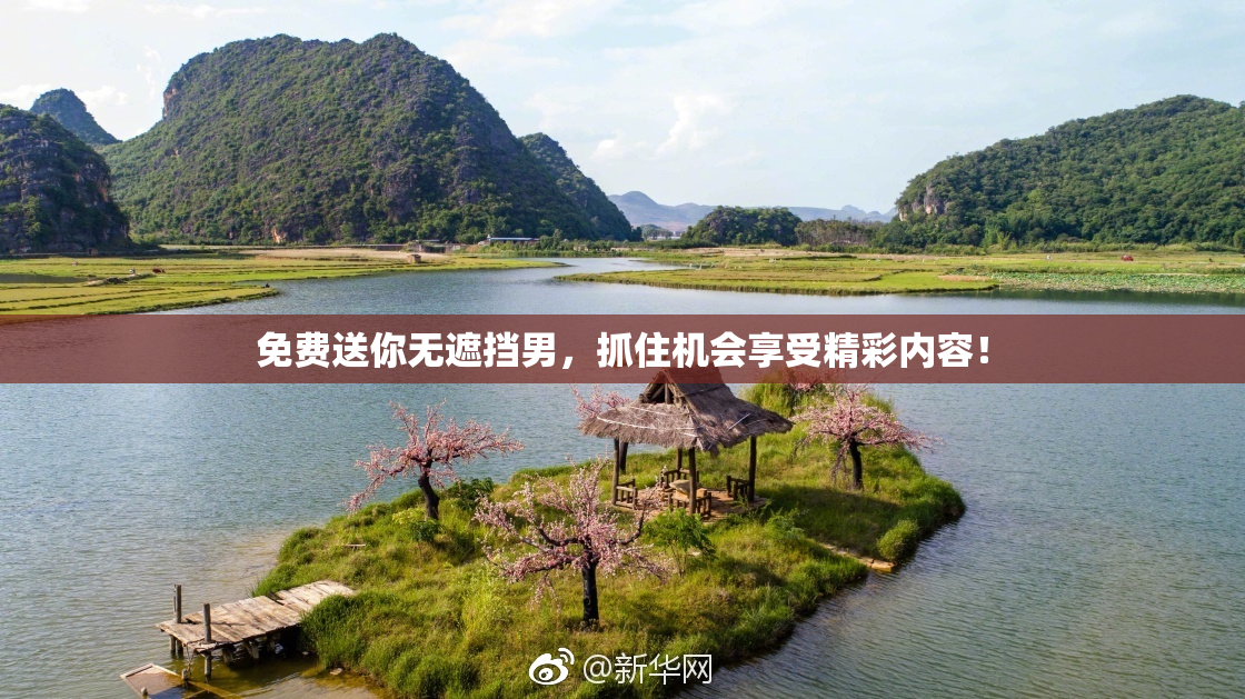 免费送你无遮挡男，抓住机会享受精彩内容！
