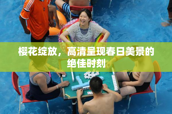 樱花绽放，高清呈现春日美景的绝佳时刻