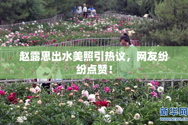 赵露思出水美照引热议，网友纷纷点赞！