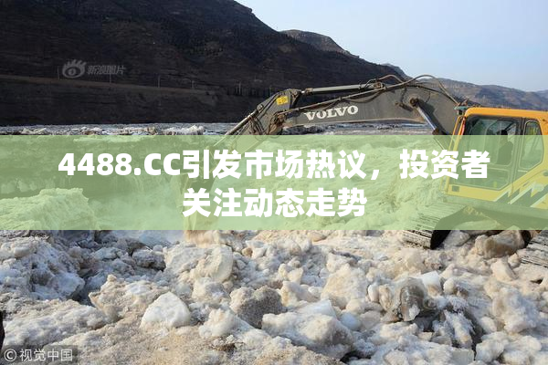 4488.CC引发市场热议，投资者关注动态走势