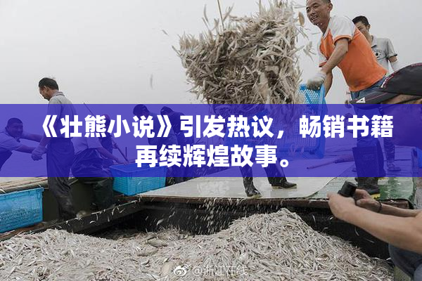 《壮熊小说》引发热议，畅销书籍再续辉煌故事。