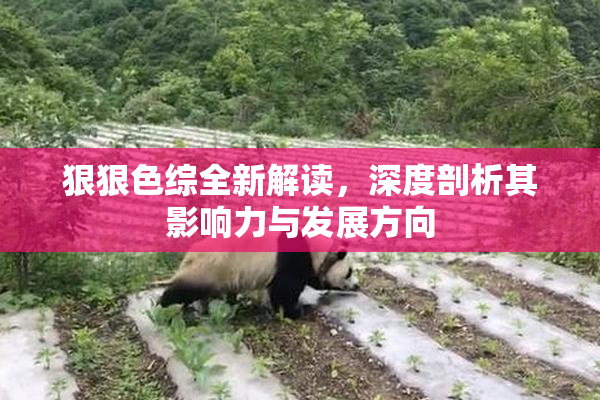 狠狠色综全新解读，深度剖析其影响力与发展方向