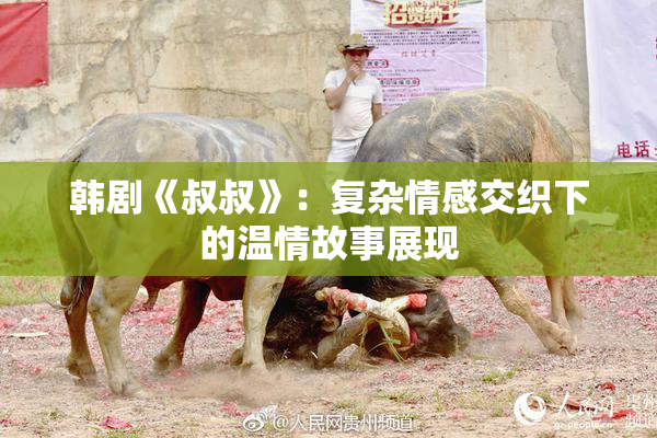 韩剧《叔叔》：复杂情感交织下的温情故事展现
