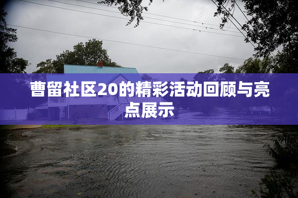 曹留社区20的精彩活动回顾与亮点展示
