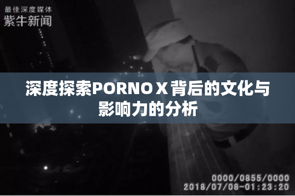 深度探索PORNOⅩ背后的文化与影响力的分析