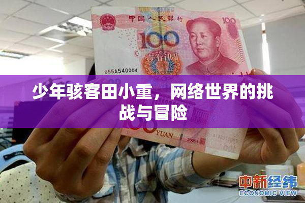 少年骇客田小重，网络世界的挑战与冒险