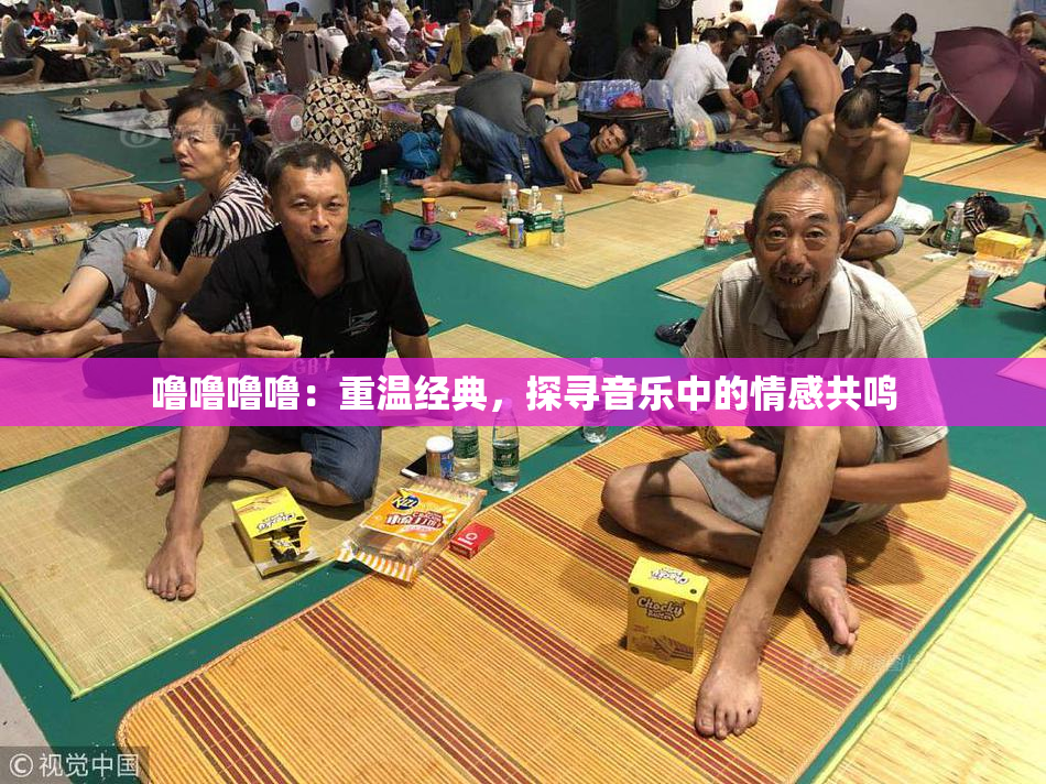 噜噜噜噜：重温经典，探寻音乐中的情感共鸣