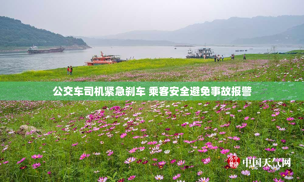 公交车司机紧急刹车 乘客安全避免事故报警
