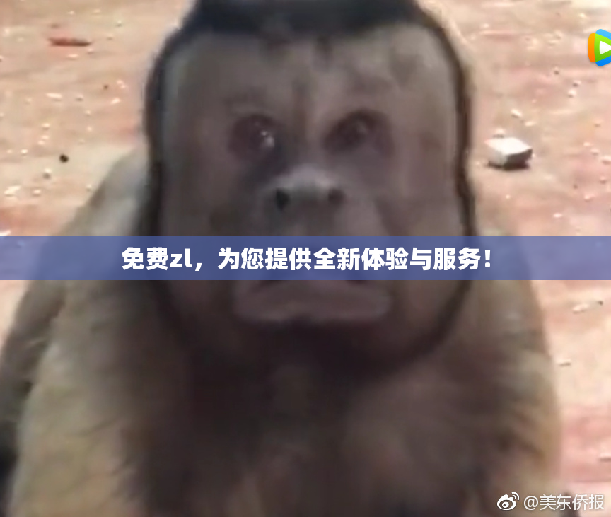 免费zl，为您提供全新体验与服务！