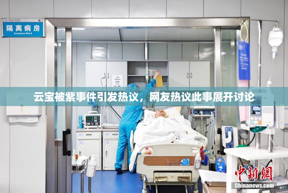 云宝被紫事件引发热议，网友热议此事展开讨论