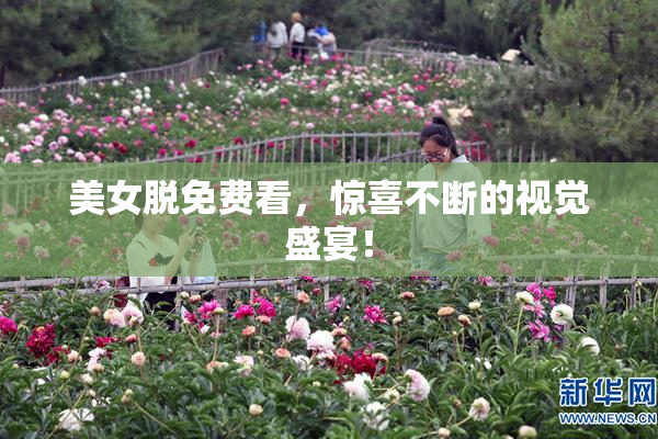 美女脱免费看，惊喜不断的视觉盛宴！